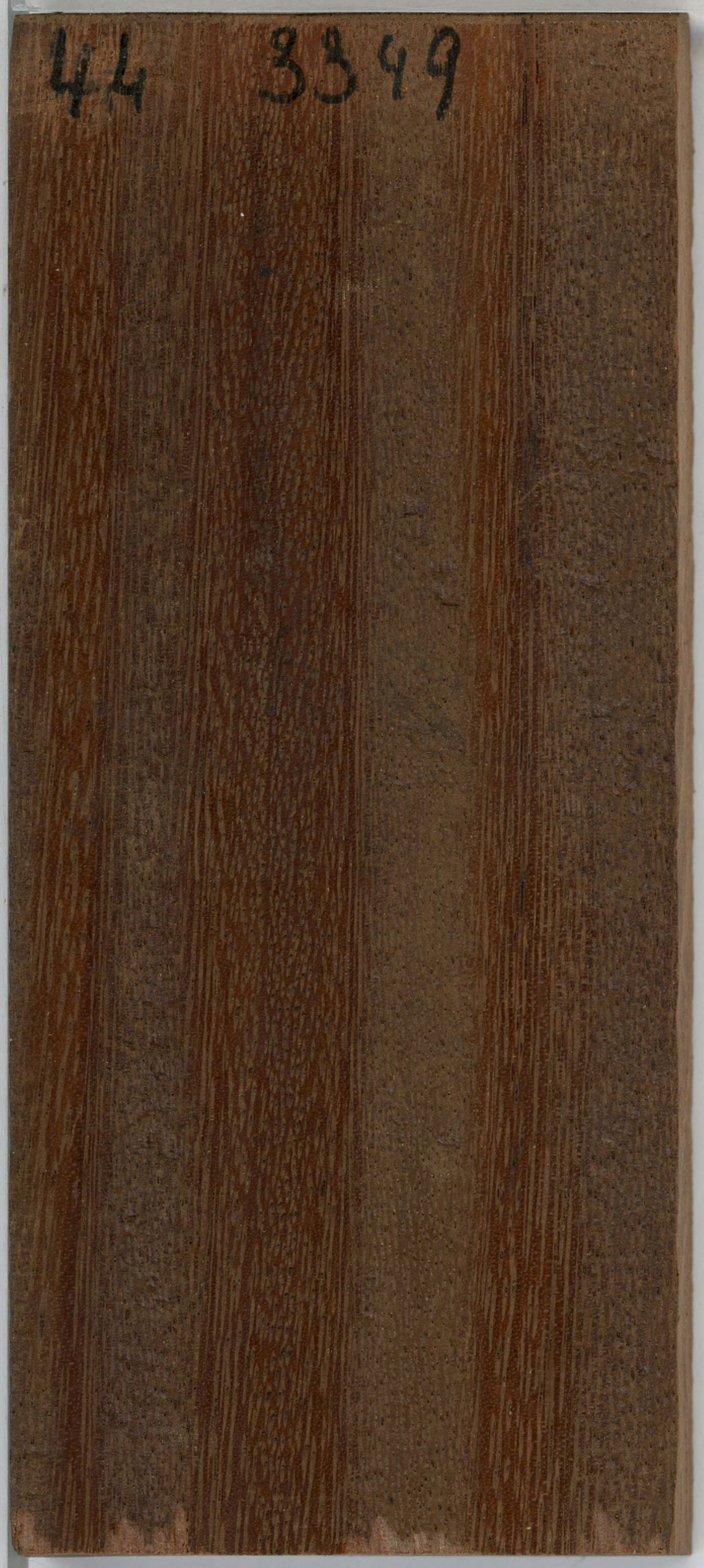 Lim xanh · ảnh 3